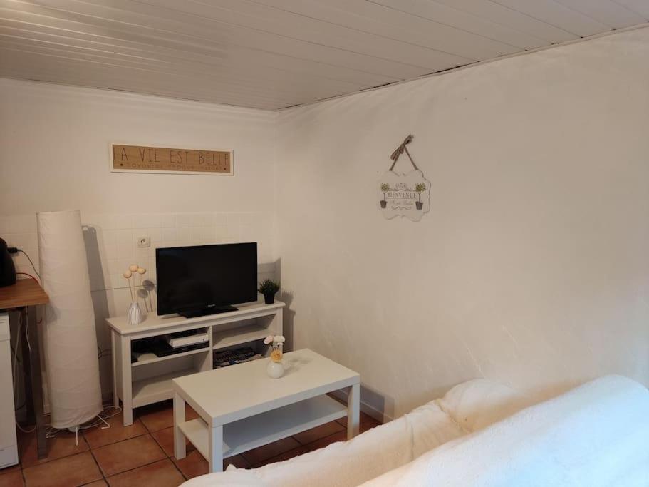 Appartement En Rez De Jardin Et Terrasse Ds Villa イエール エクステリア 写真